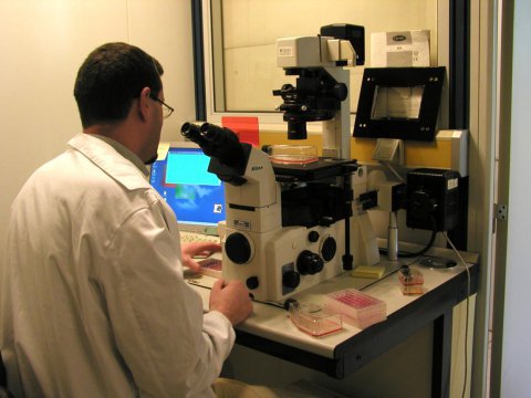 GIPA - Grupo de Investigación de Patología en la Acuicultura