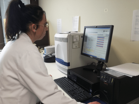 Enfermedades Infecciosas - INVESAGA - (Investigación en Sanidad Animal: Galicia)